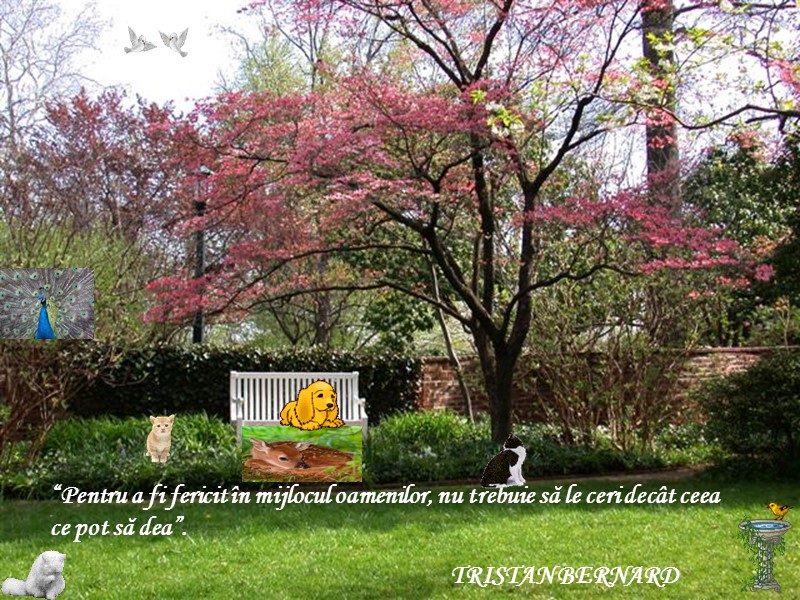 “Pentru a fi fericit în mijlocul oamenilor, nu trebuie să le ceri decât ceea